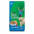 Dog chow cachorro